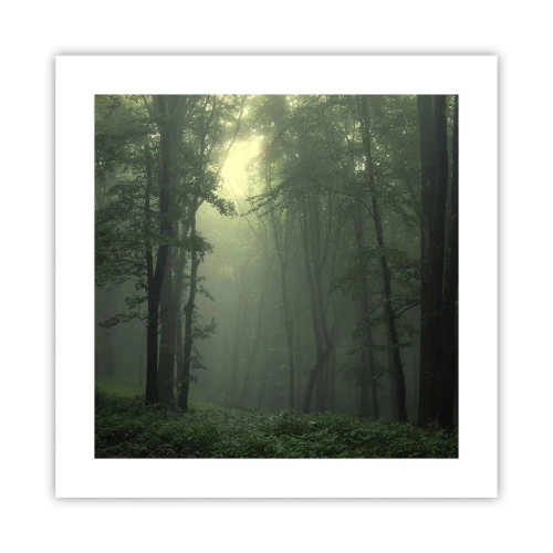 Poster - Înainte să se trezească - 40x40 cm