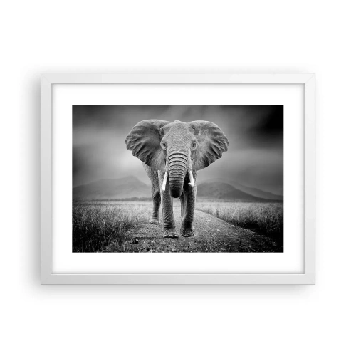 Poster în ramă albă - Gazda te salută - 40x30 cm