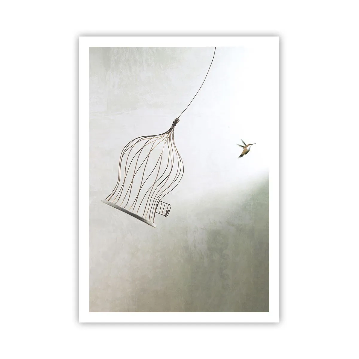 Poster - Eliberat - 70x100 cm