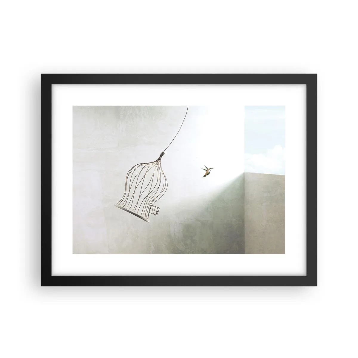 Poster în ramă neagră - Eliberat - 40x30 cm