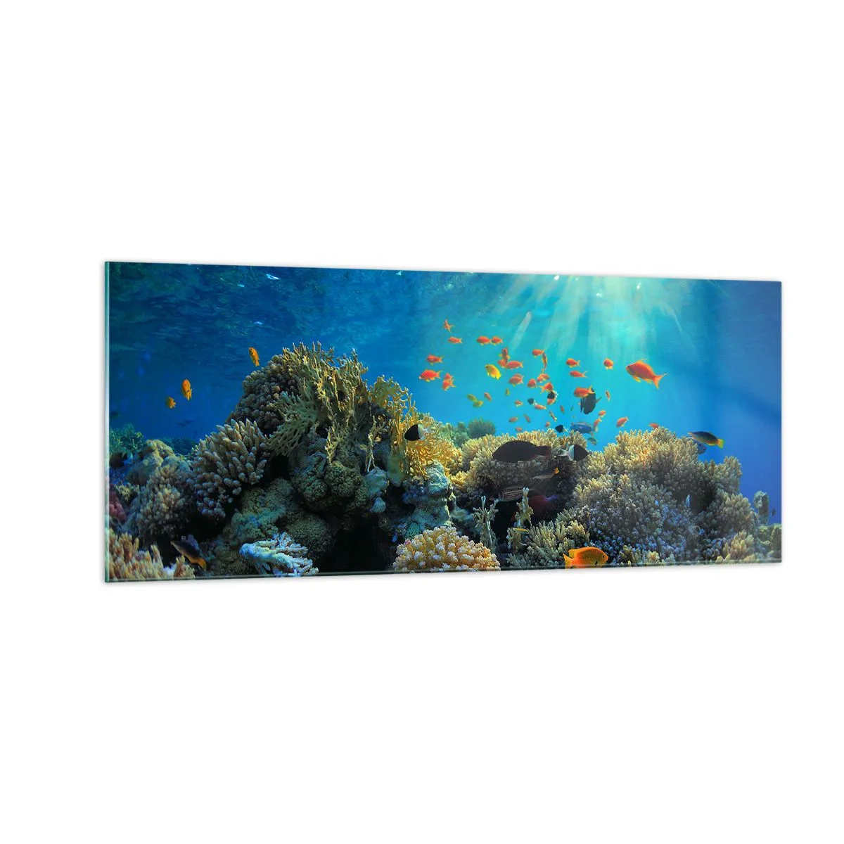 Tablou pe sticlă - Comori subacvatice - 100x40 cm
