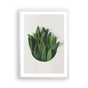Poster în ramă albă - Curiozitatea nestăvilită - 50x70 cm