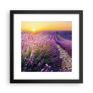 Poster în ramă neagră - Câmpul parfumat - 30x30 cm