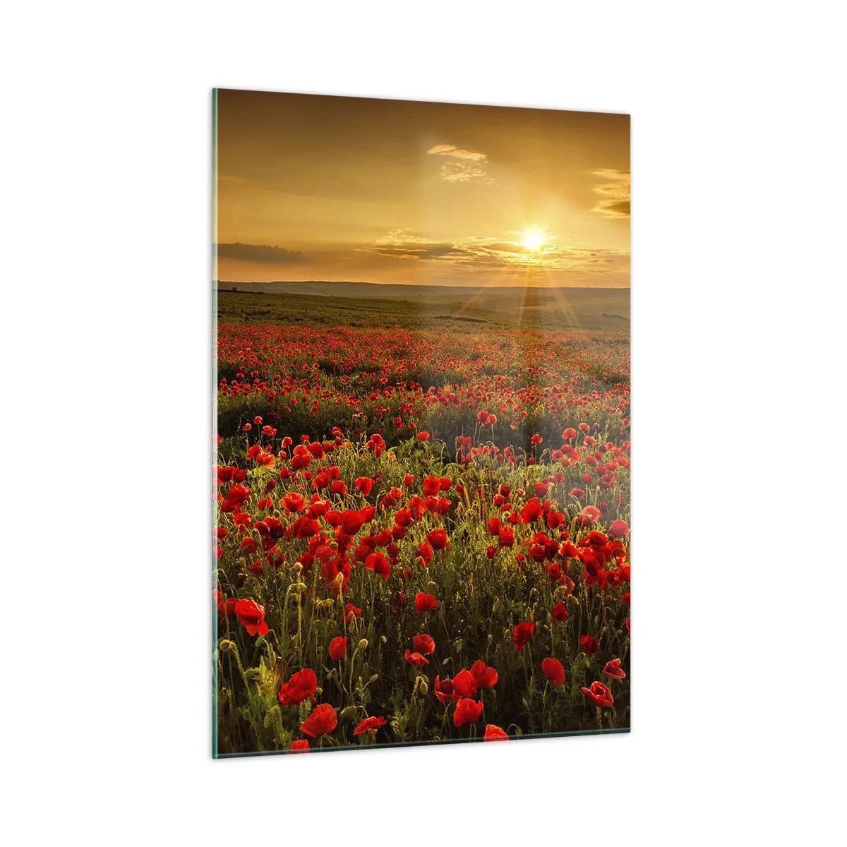 Tablou pe sticlă - Printre valuri de pajiști care zumzăie, printre potop de flori - 50x70 cm