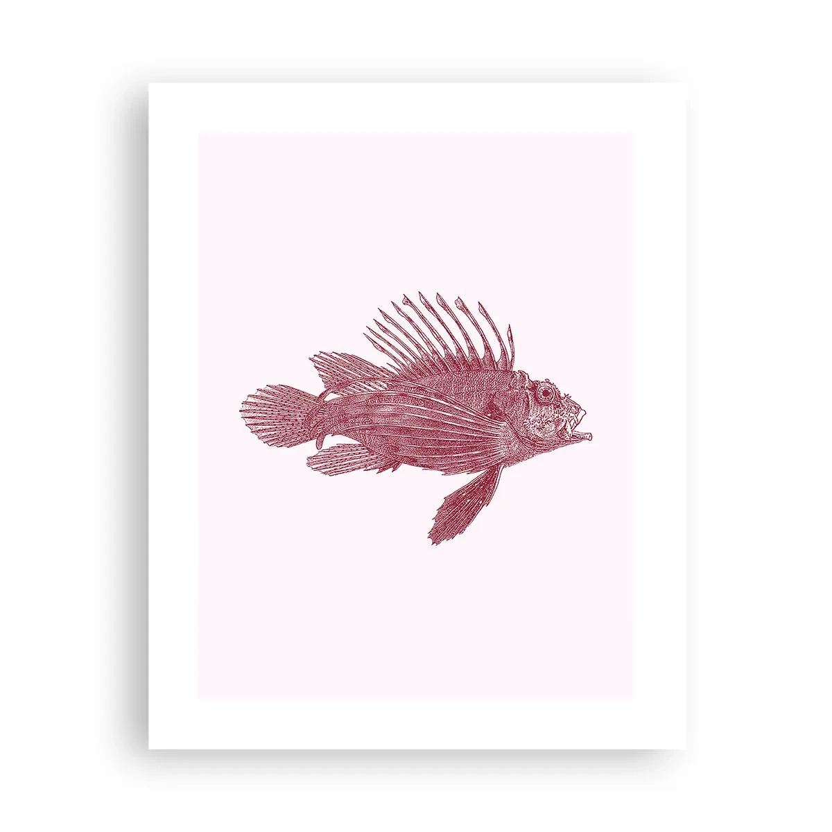 Poster - Un locuitor al apelor exotice - 40x50 cm