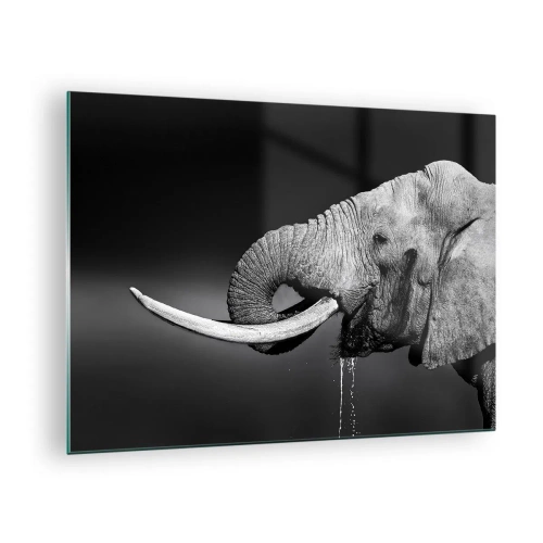 Tablou pe sticlă - Portret alb-negru al unui elefant cu trompă - 70x50cm - Da, e bine acum - Decorațiune modernă pentru perete pentru living și dormitor ARTTOR