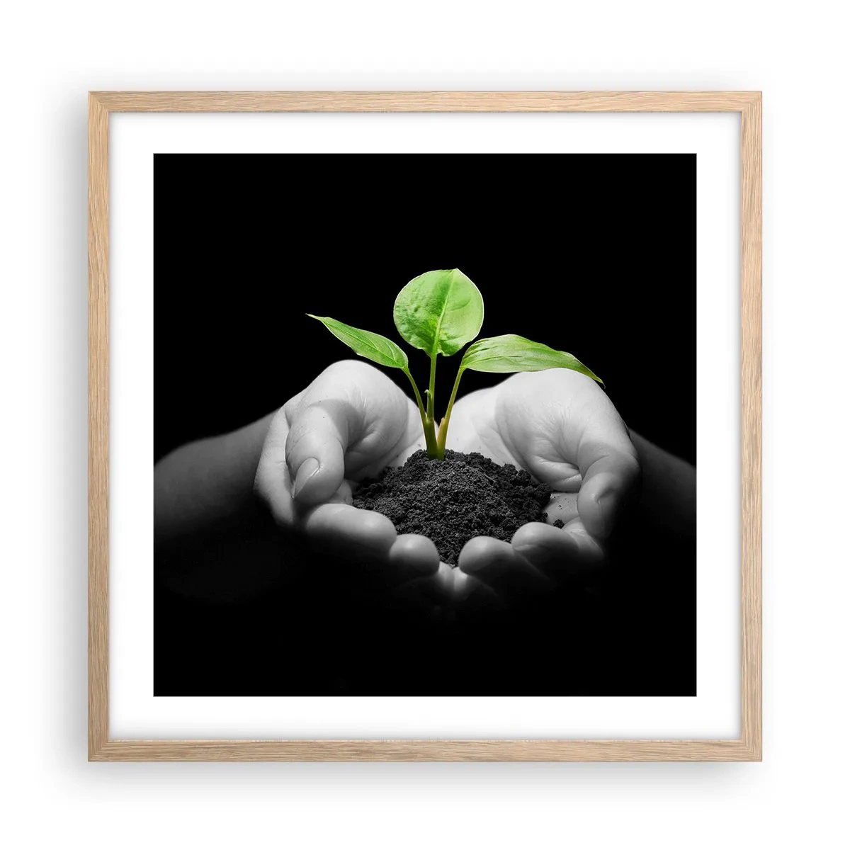 Poster în ramă de stejar deschis - Iubesc natura, o protejez - 50x50 cm
