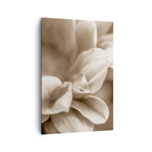 Tablou pe pânză - Blânde ca un zâmbet - 70x100 cm