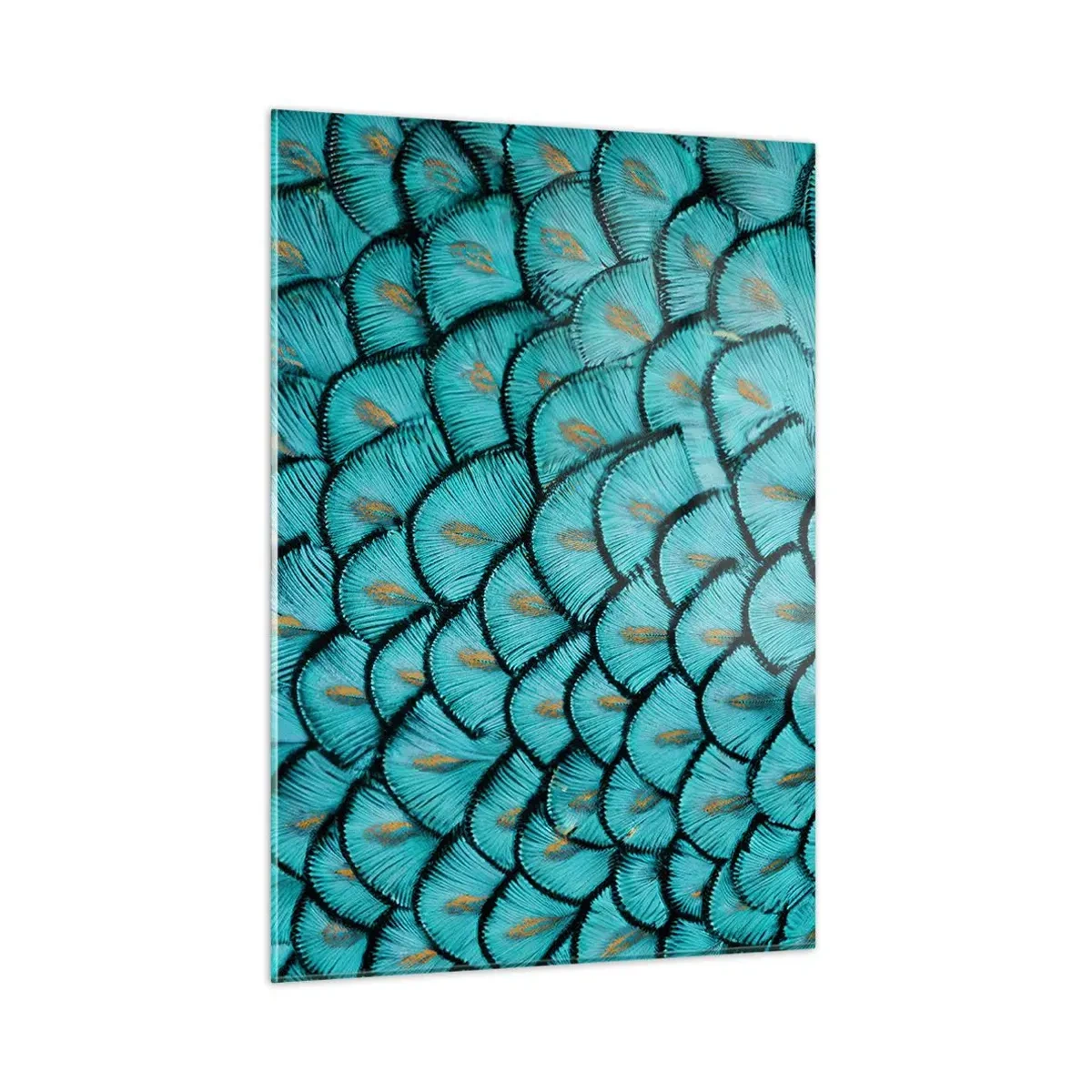 Tablou pe sticlă - Marea gală a penelor - 50x70 cm