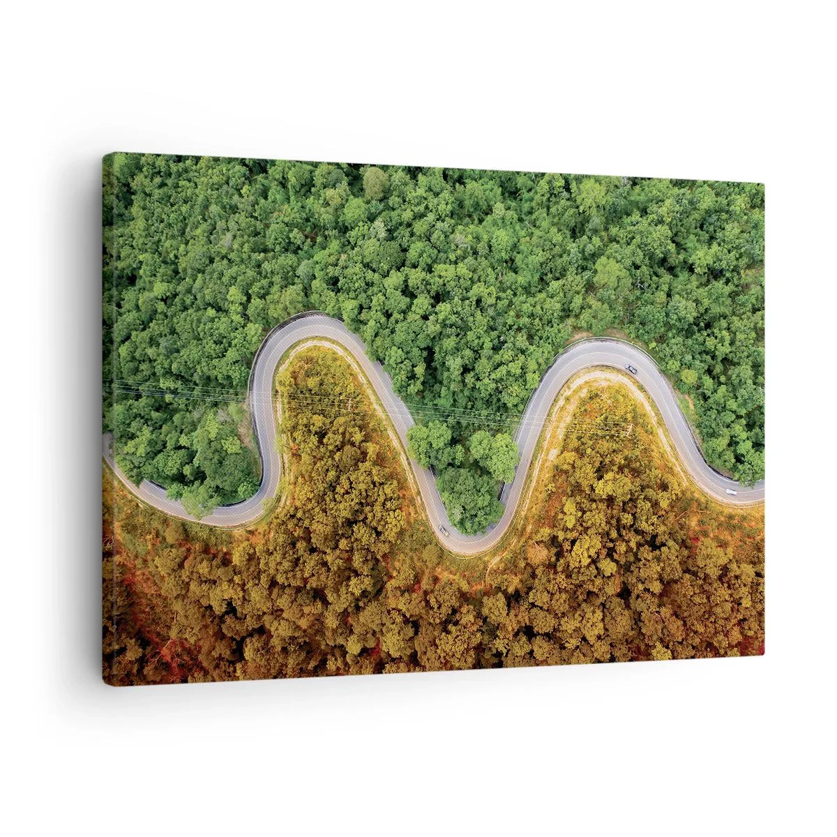 Tablou pe pânză Canvas - Un drum șerpuitor prin pădure văzut din perspectiva unei păsări - 70x50cm - Frontiere și defilee - Decorațiune modernă pentru perete pentru living și dormitor ARTTOR