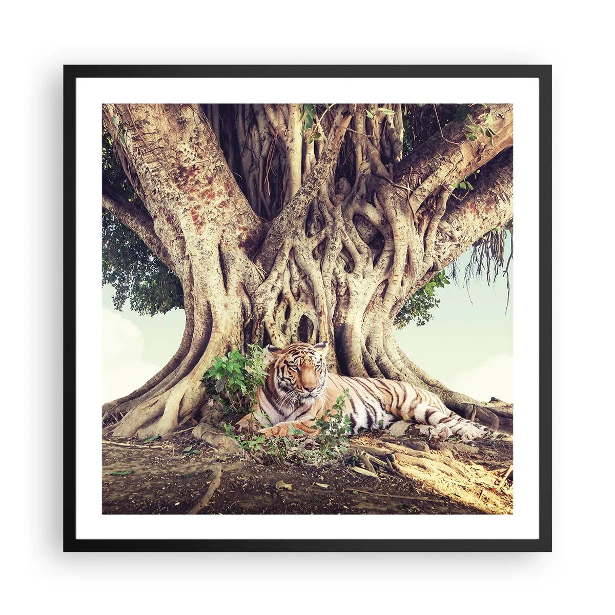 Poster în ramă neagră - O perspectivă din Geneză - 60x60 cm