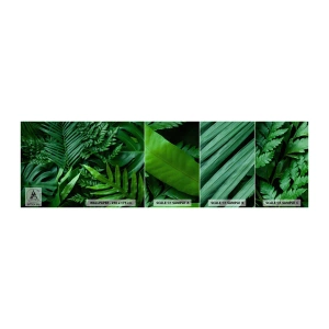 Mostră tapet autocolant Deluxe Sticker - Înfășurate în verde - Plantă exotică, Frunza de palmier, Frunza de monstera - 100x30 cm
