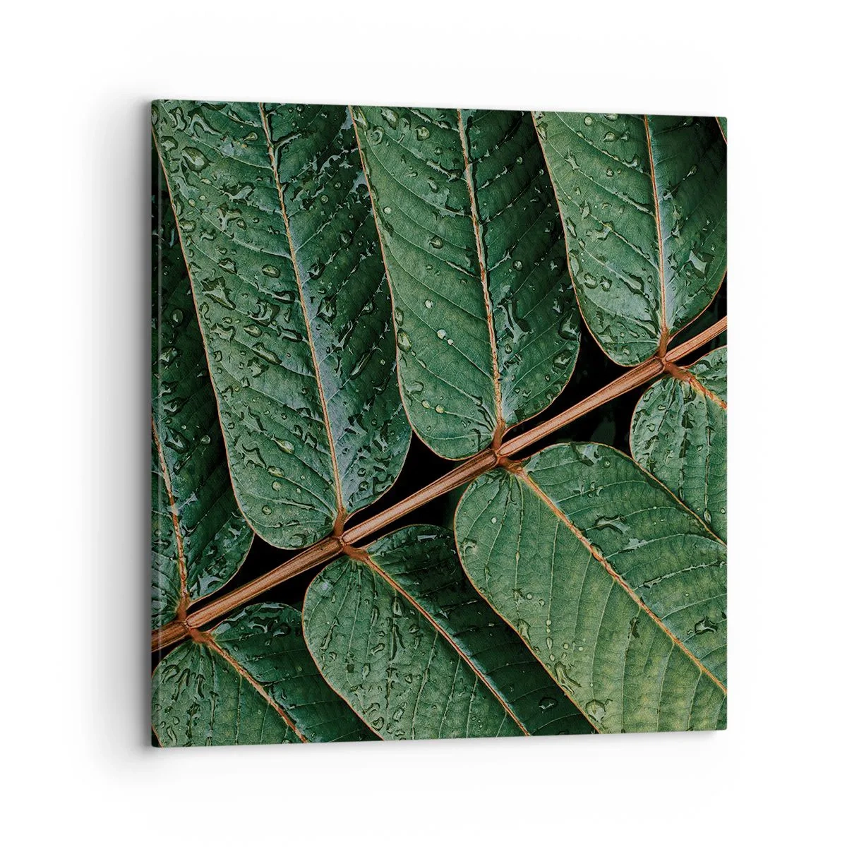 Tablou pe pânză - Într-un ritm verde - 70x70 cm