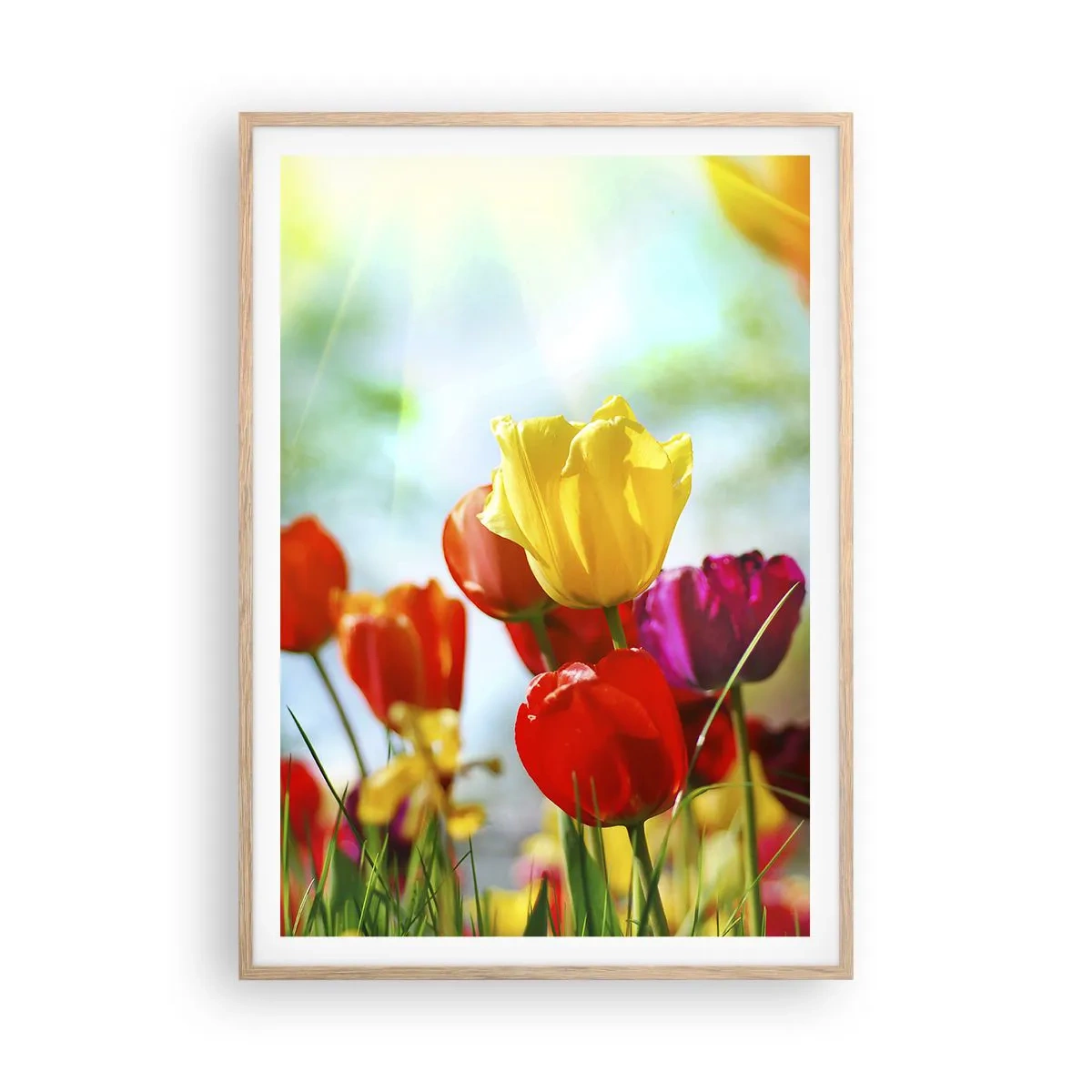 Poster în ramă de stejar deschis - Toate culorile soarelui - 70x100 cm