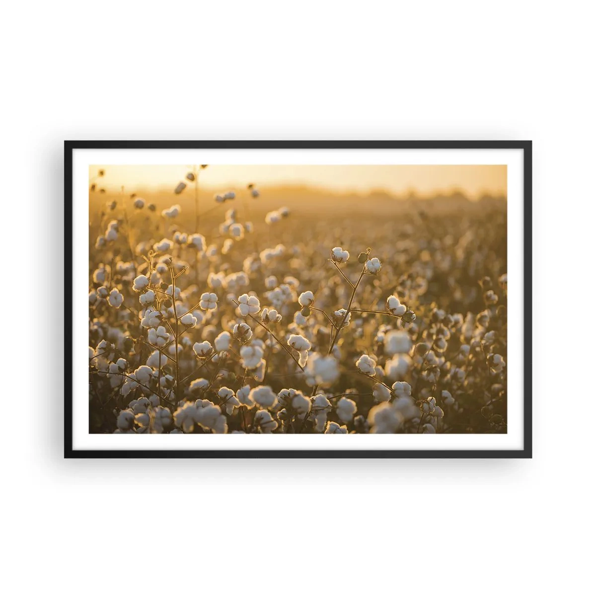 Poster în ramă neagră - Câmp pufos - 91x61 cm