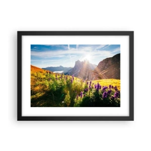 Poster în ramă neagră - Viața secretă a ierburilor - 40x30 cm