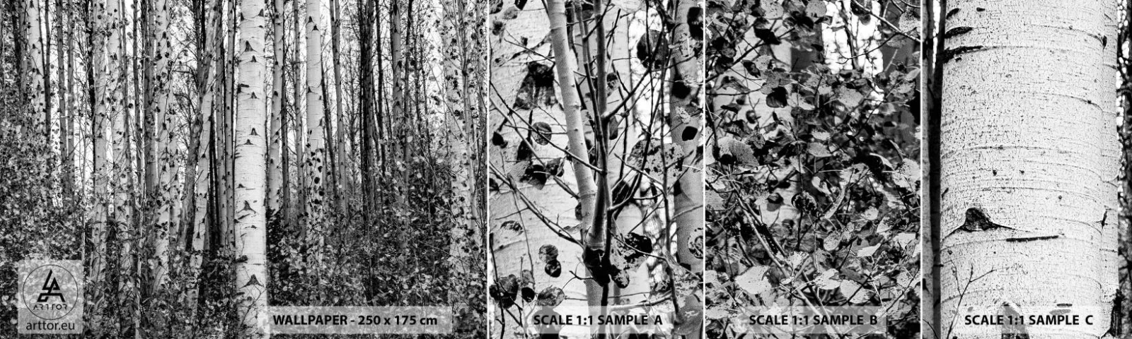 Mostră tapet autocolant Deluxe Sticker - Coloane de mesteacăn - pădure, mesteacăn, Natură - 100x30 cm