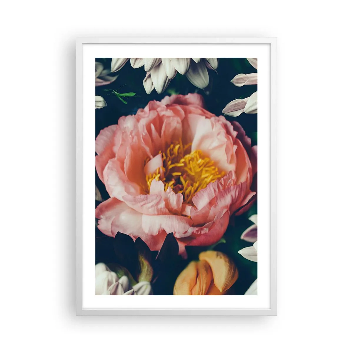 Poster în ramă albă - Cu splendoare barocă - 50x70 cm
