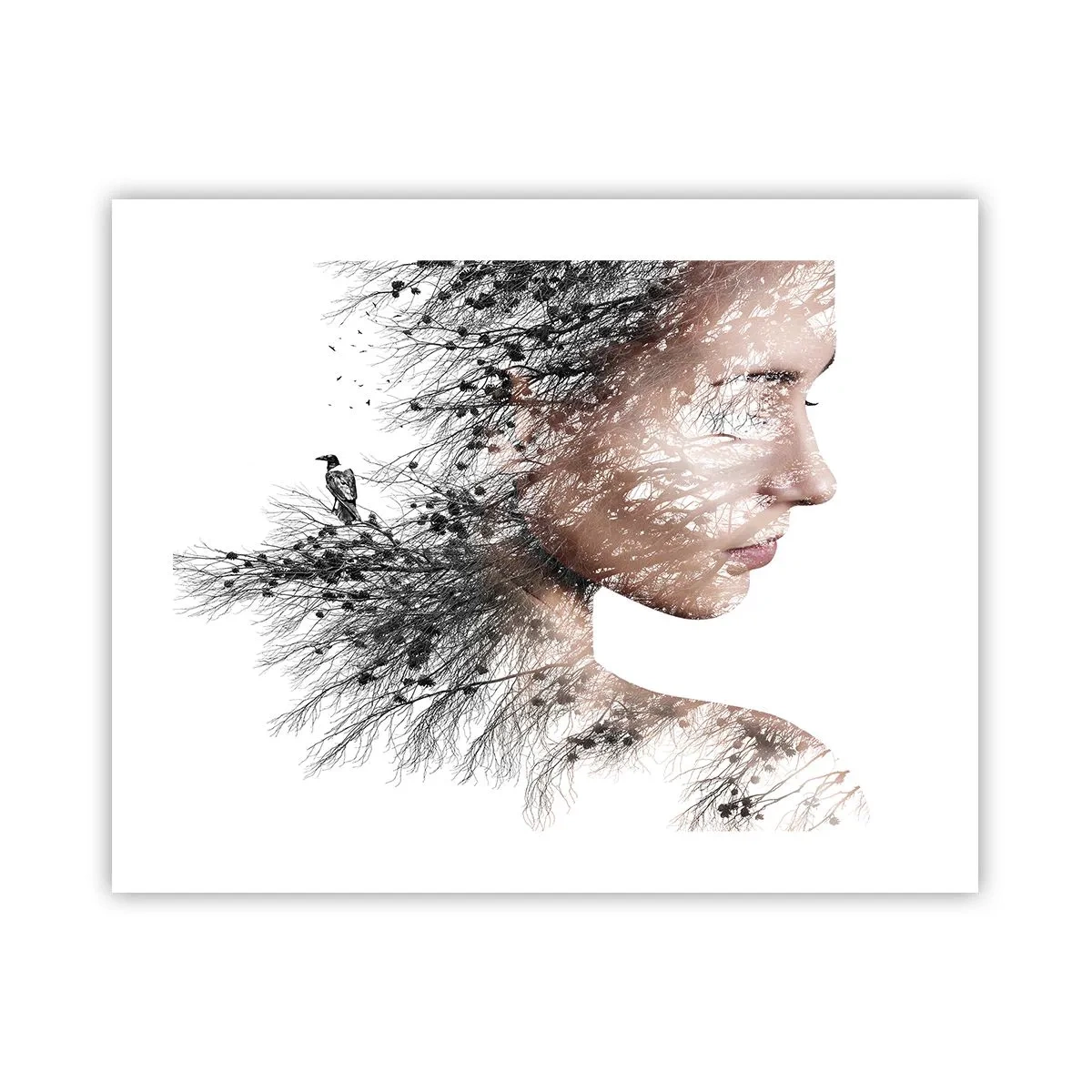 Poster - Spiritul pădurii - 50x40 cm