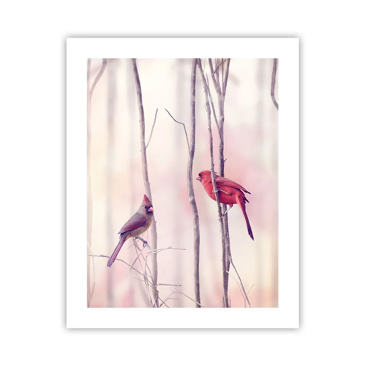 Poster - O poveste din Pădurea Roz - 40x50 cm