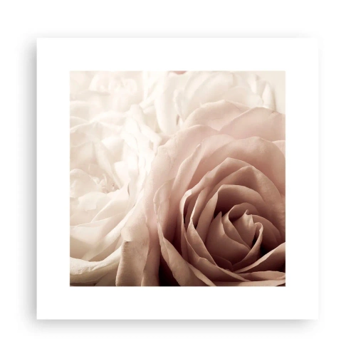 Poster - În inima unui trandafir - 30x30 cm