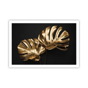 Poster - Comorile naturii - 91x61 cm