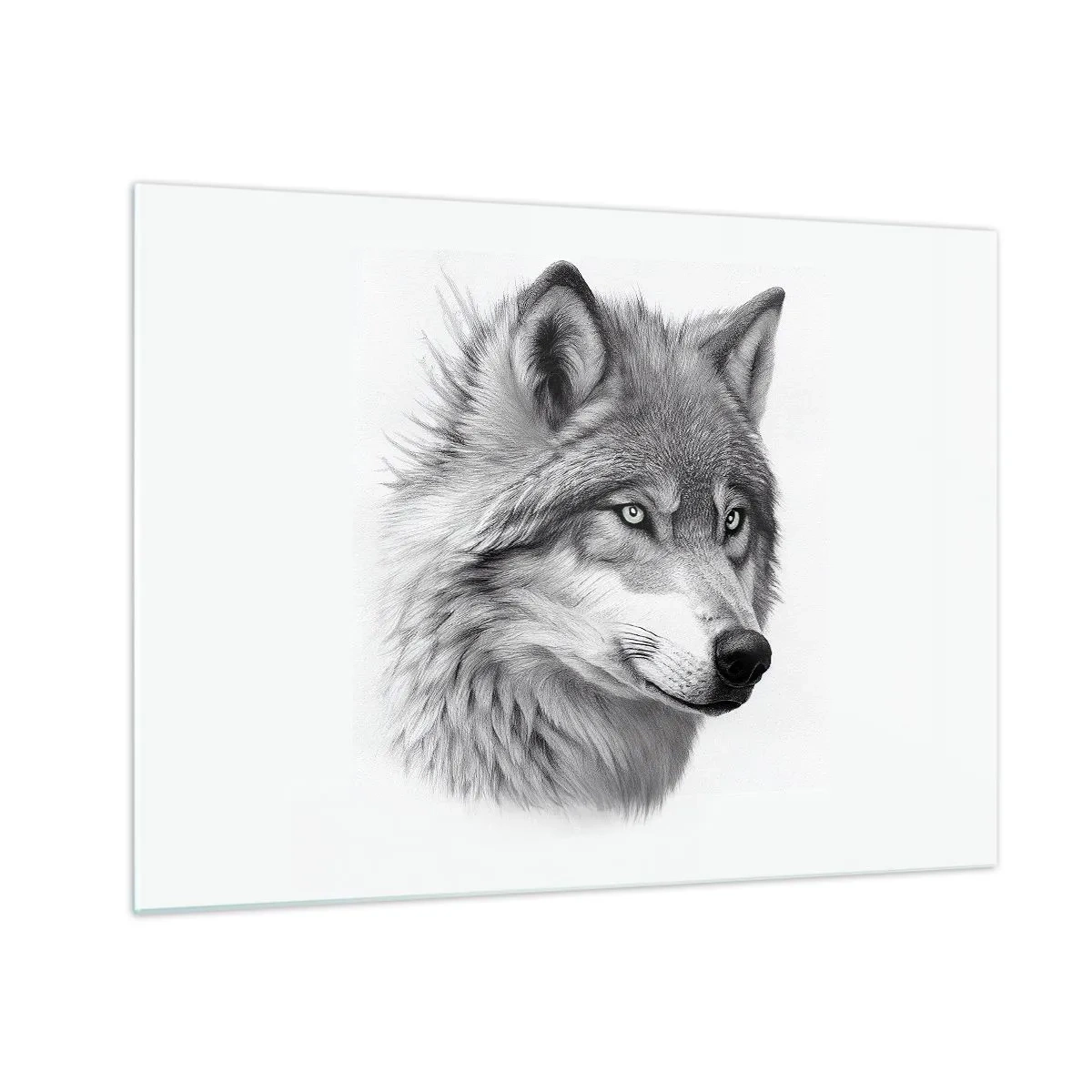 Tablou pe sticlă - Portret alb-negru al unui lup cu o privire pătrunzătoare - 70x50cm - Alfa - fără îndoială - Decorațiune modernă pentru perete pentru living și dormitor ARTTOR