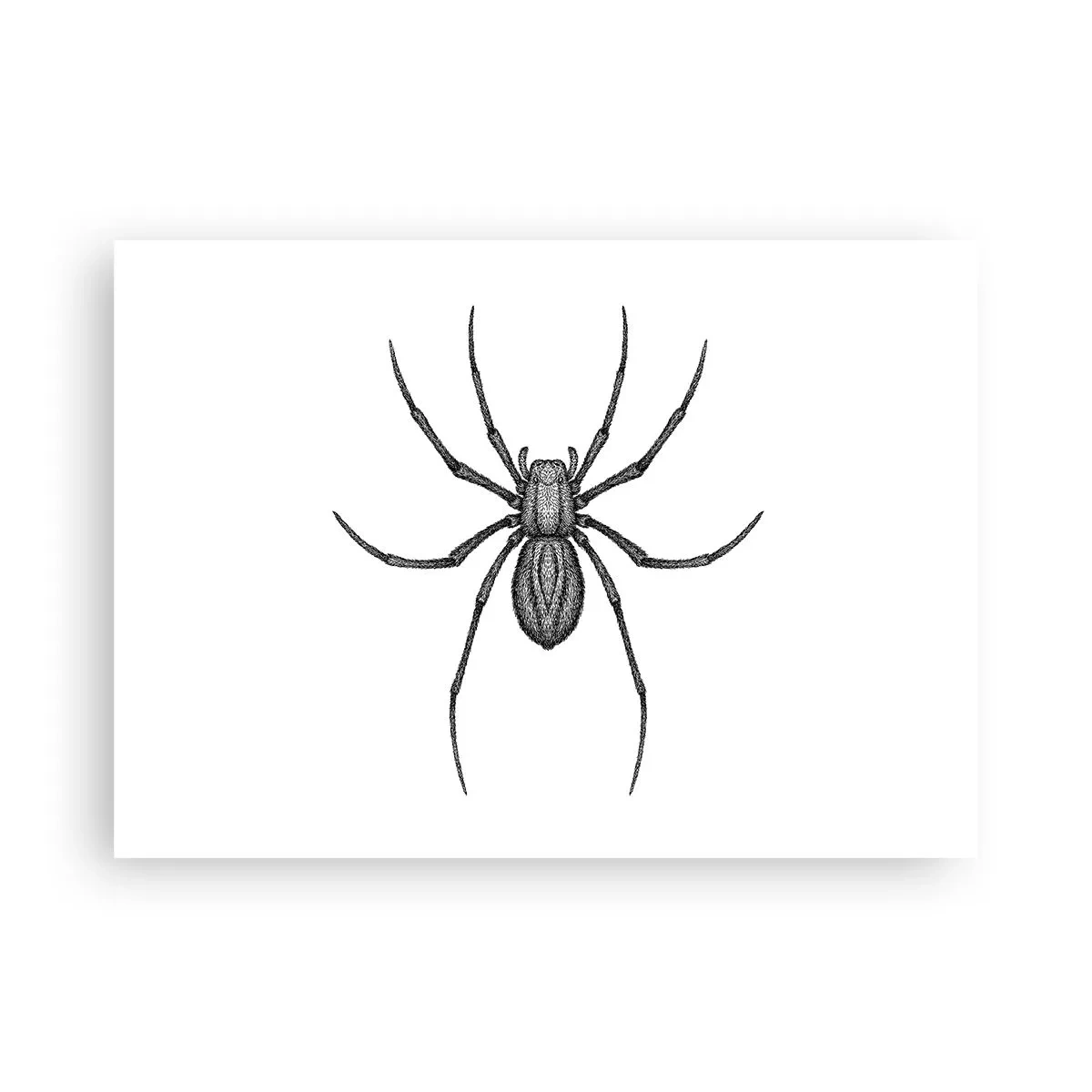 Poster - Precizie tulburătoare - 70x50 cm