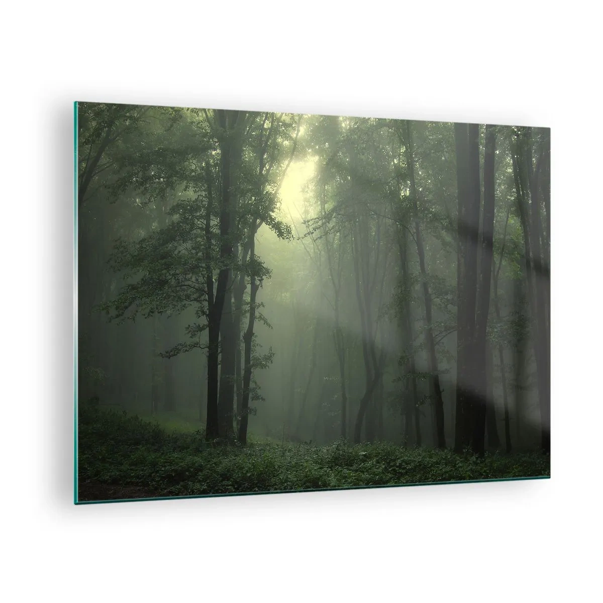 Tablou pe sticlă - O pădure întunecată învăluită în ceață cu raze de lumină - 70x50cm - Înainte să se trezească - Decorațiune modernă pentru perete pentru living și dormitor ARTTOR