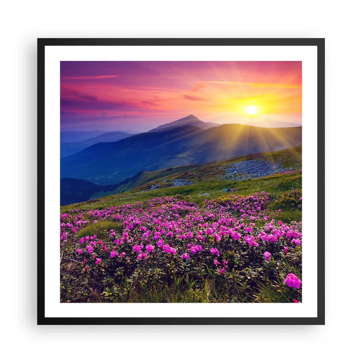 Poster în ramă neagră - ... Și peste tot în jur se simte un miros de jneapăn și parfum de ierburi... - 60x60 cm