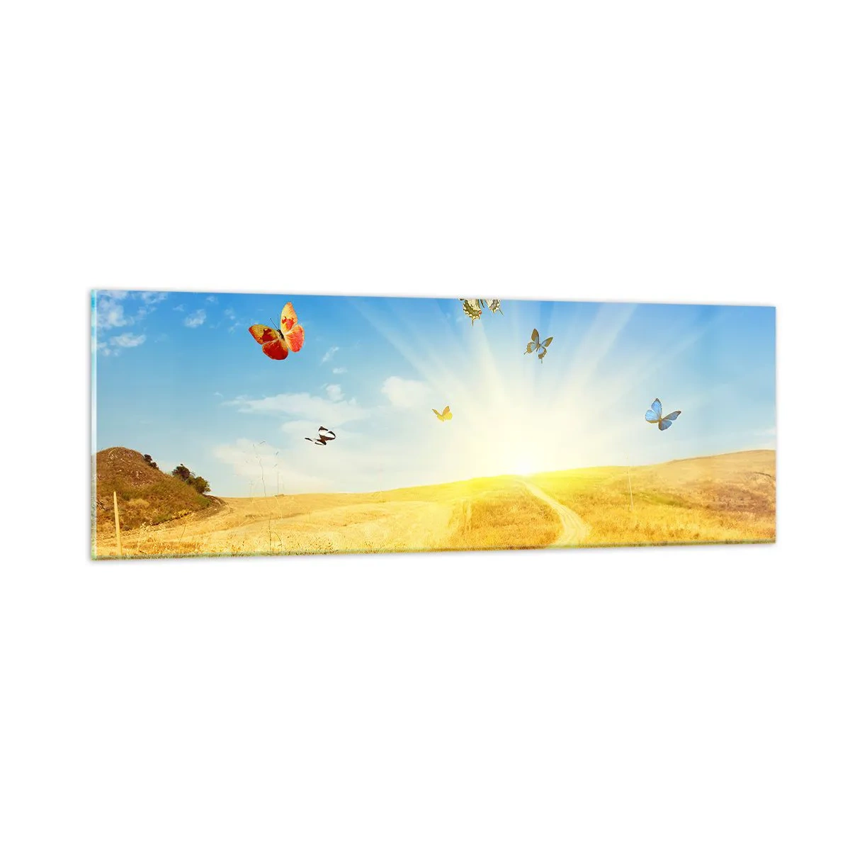 Tablou pe sticlă - Și cum să nu iubești vara? - 90x30 cm