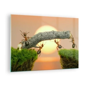 Tablou pe sticlă - Furnicile construiesc un pod la apus - 70x50cm - Cooperare veselă - Decorațiune modernă pentru perete pentru living și dormitor ARTTOR