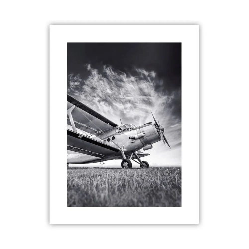 Poster - Rătăcitorul înaripat - 30x40 cm