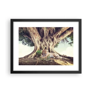 Poster în ramă neagră - O perspectivă din Geneză - 40x30 cm