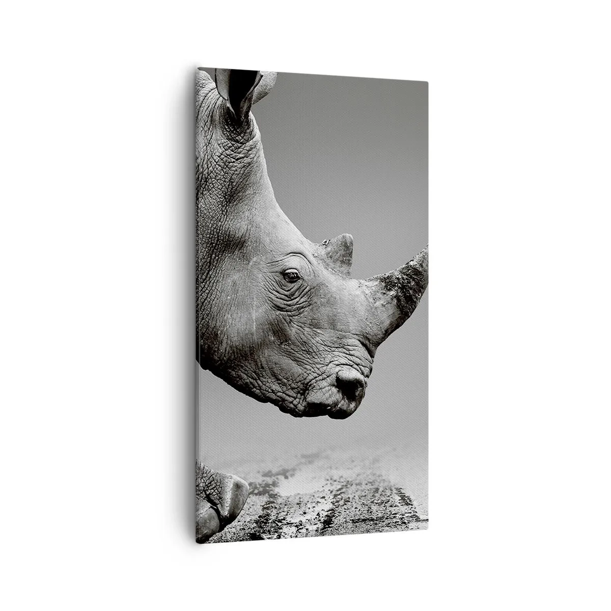 Tablou pe pânză - O forță de neoprit - 55x100 cm