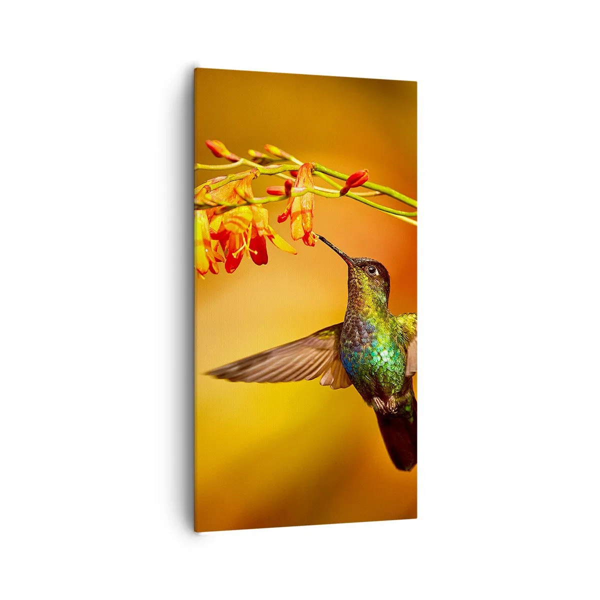 Tablou pe pânză - Mesagerul mayaș al luminii - 65x120 cm