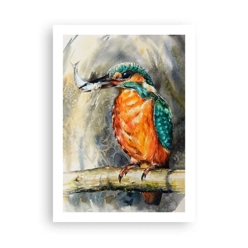 Poster - Legea naturii - 50x70 cm