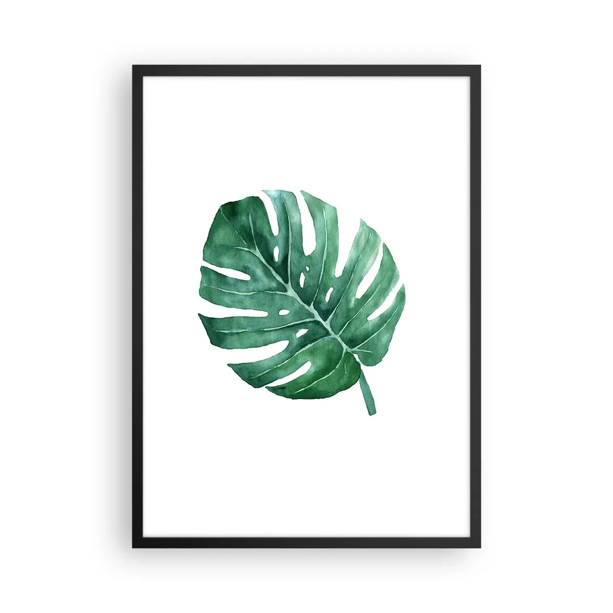 Poster în ramă neagră - Ilustrație în acuarelă a unei frunze de monstera pe fundal alb - 50x70cm - Conceptul verde - Decorațiune modernă pentru perete pentru living și dormitor ARTTOR