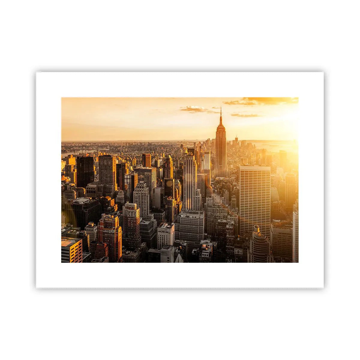 Poster - Crescând la soare - 40x30 cm