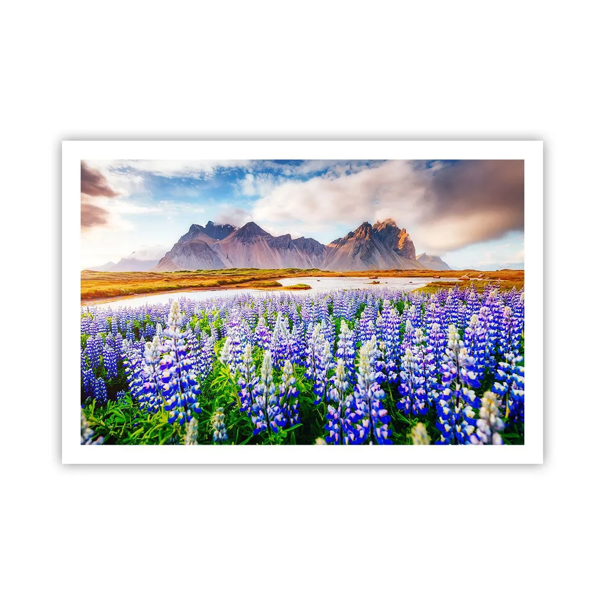 Poster - Putere și severitate alături de blândețe - 91x61 cm