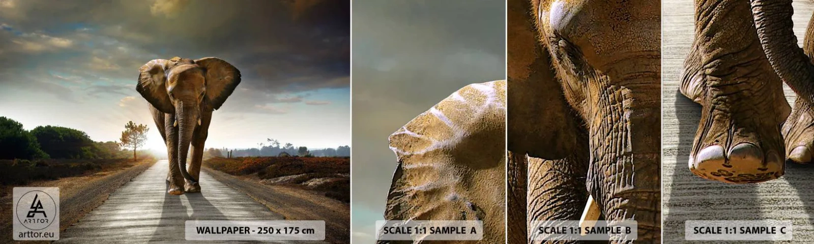 Mostră tapet autocolant Deluxe Sticker - Și-a pierdut cipicii... - Elefant, Peisaj, Natură - 100x30 cm