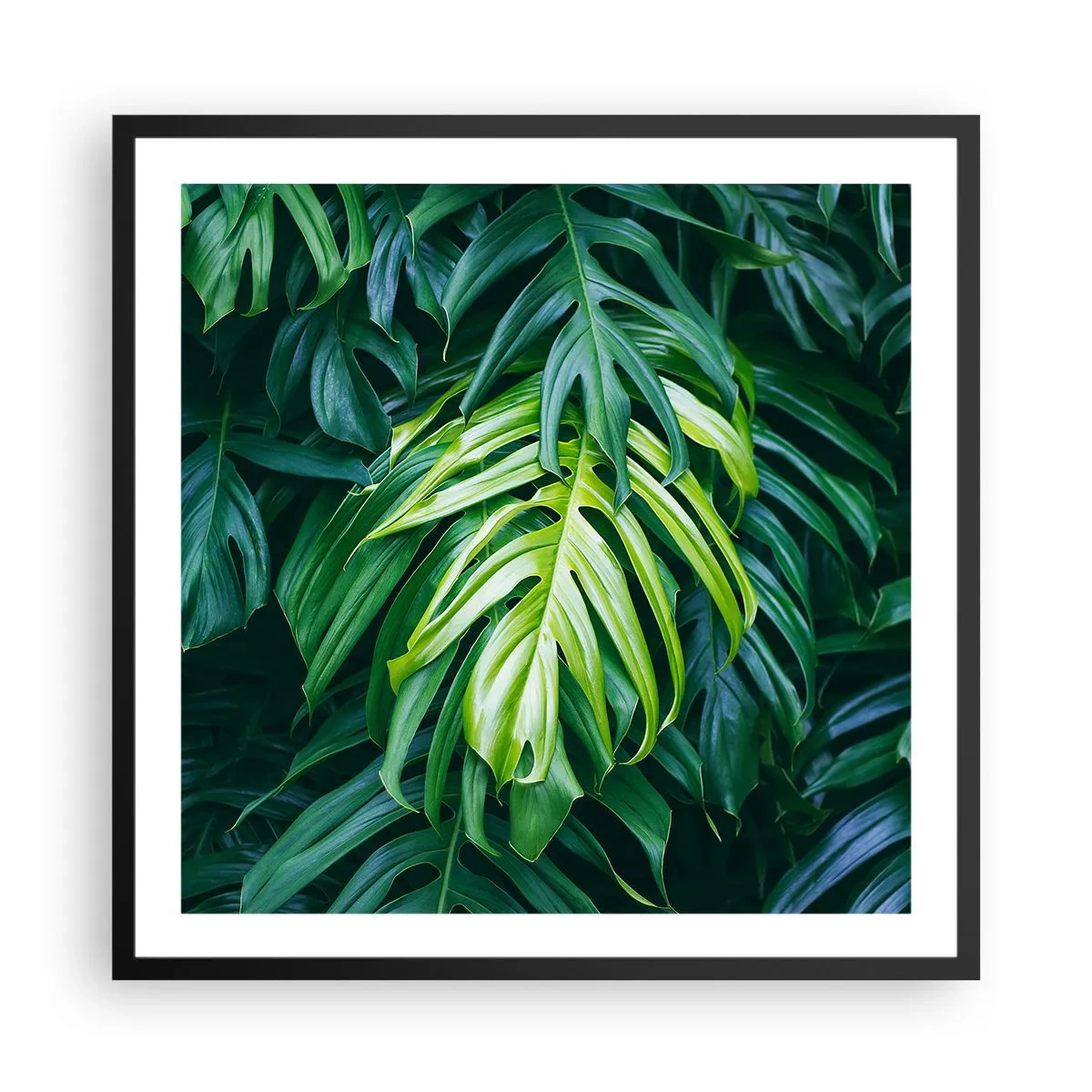 Poster în ramă neagră - Scufundă-te în prospețime - 60x60 cm
