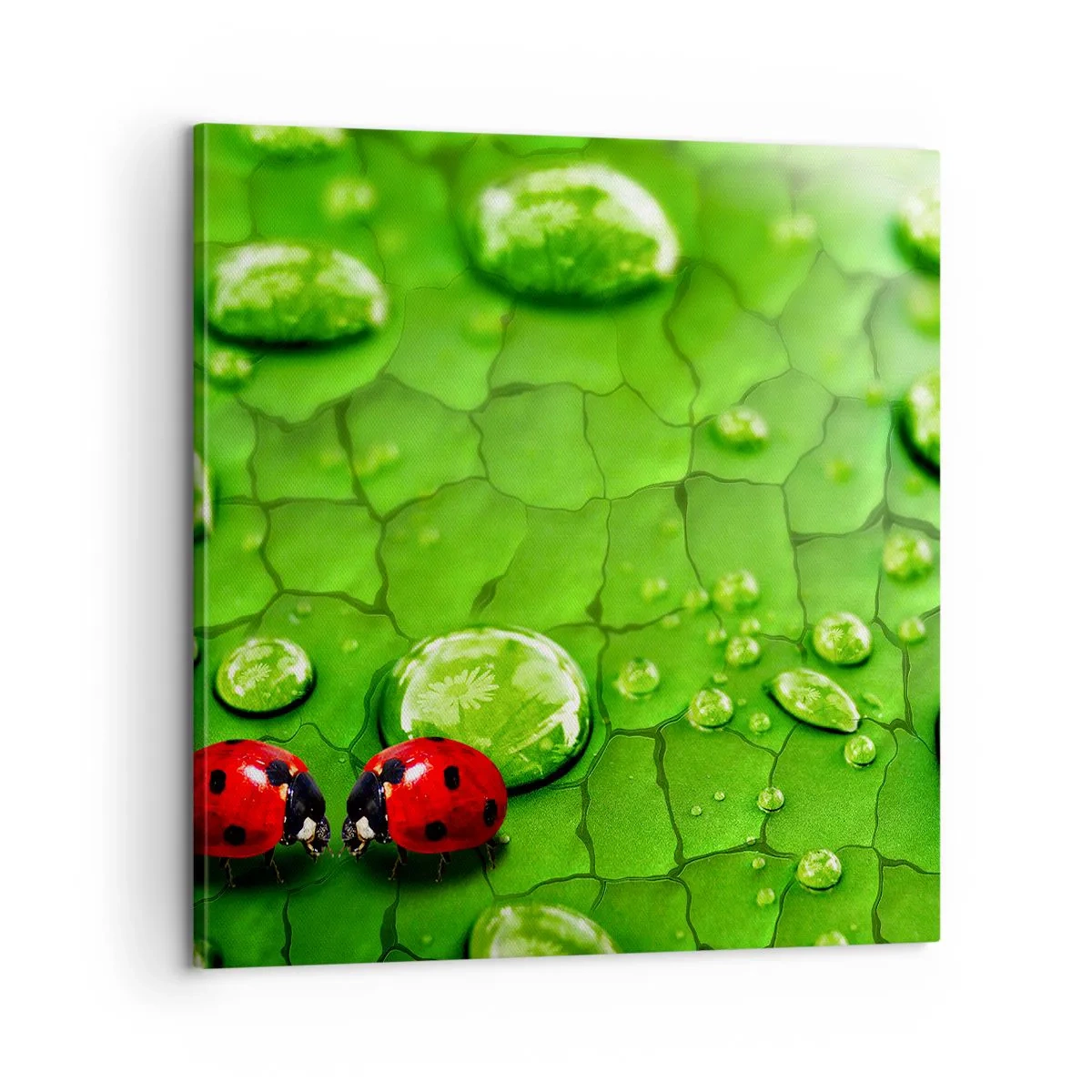 Tablou pe pânză - Întâlnire în verde - 60x60 cm