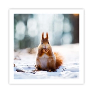 Poster - Și la ce te uiți? - 60x60 cm