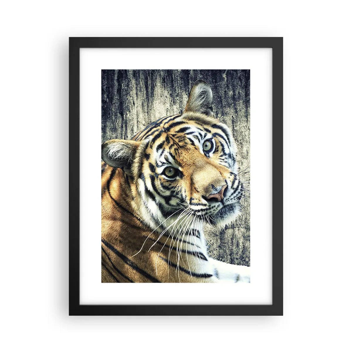 Poster în ramă neagră - Portret în fluxuri de lumină - 30x40 cm