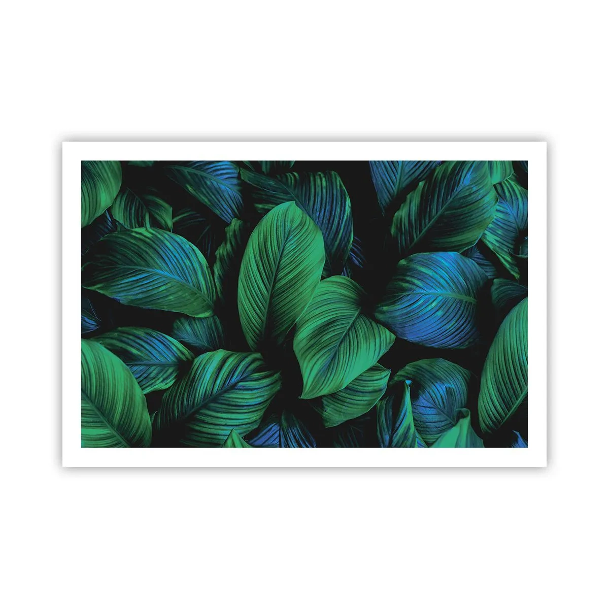 Poster - Traficul verde - 91x61 cm