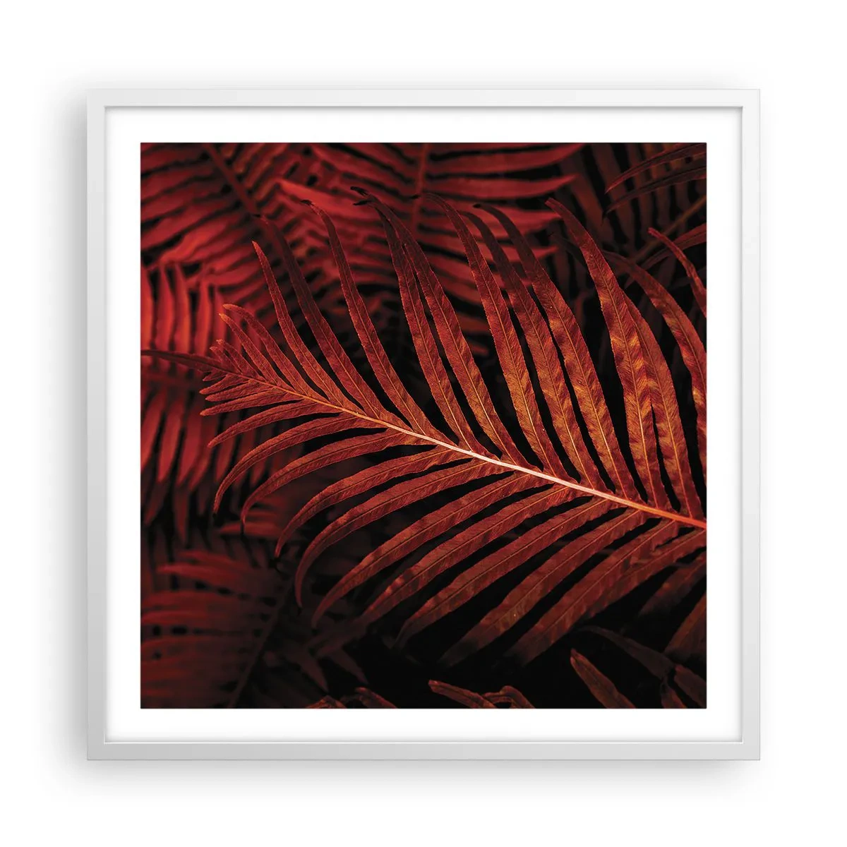 Poster în ramă albă - Ardoarea vieții - 60x60 cm