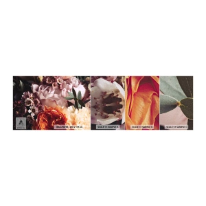 Mostră tapet Premium Canvas - Înghesuite în frumusețe - Flori, Buchet de flori, Trandafir - 100x30 cm