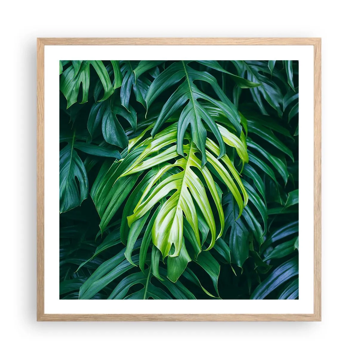 Poster în ramă de stejar deschis - Scufundă-te în prospețime - 60x60 cm