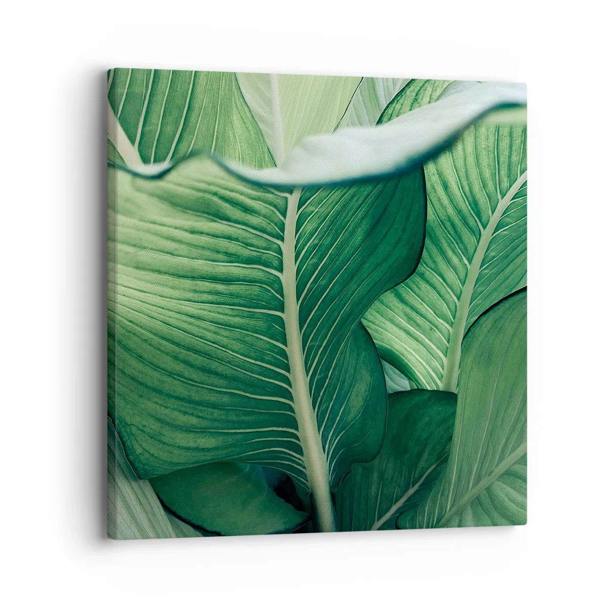 Tablou pe pânză - Viață intensă în verde - 30x30 cm